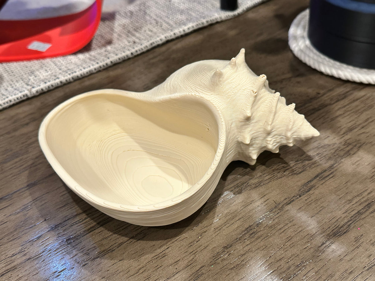 Conch Shell Bowl
