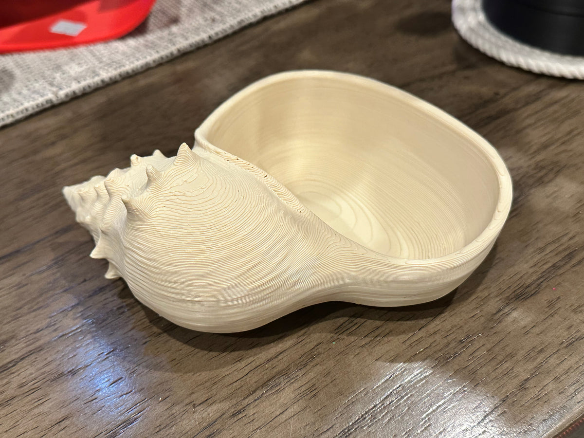 Conch Shell Bowl