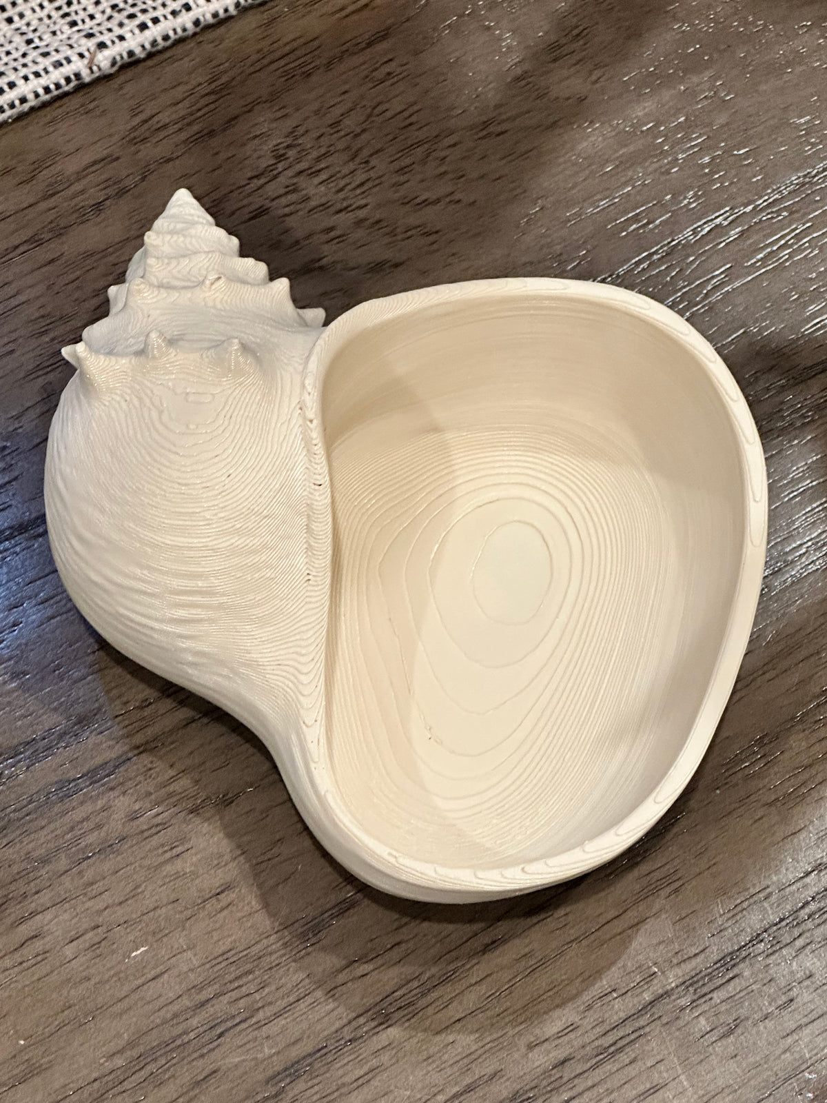 Conch Shell Bowl