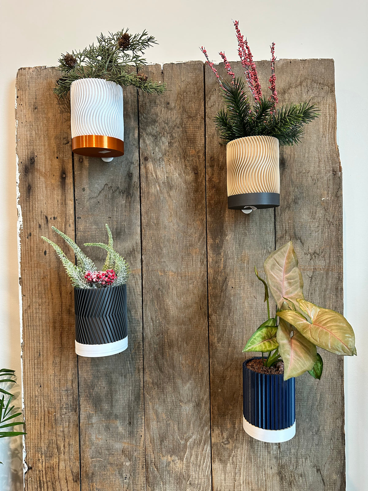Line & Leaf Wall Planters
