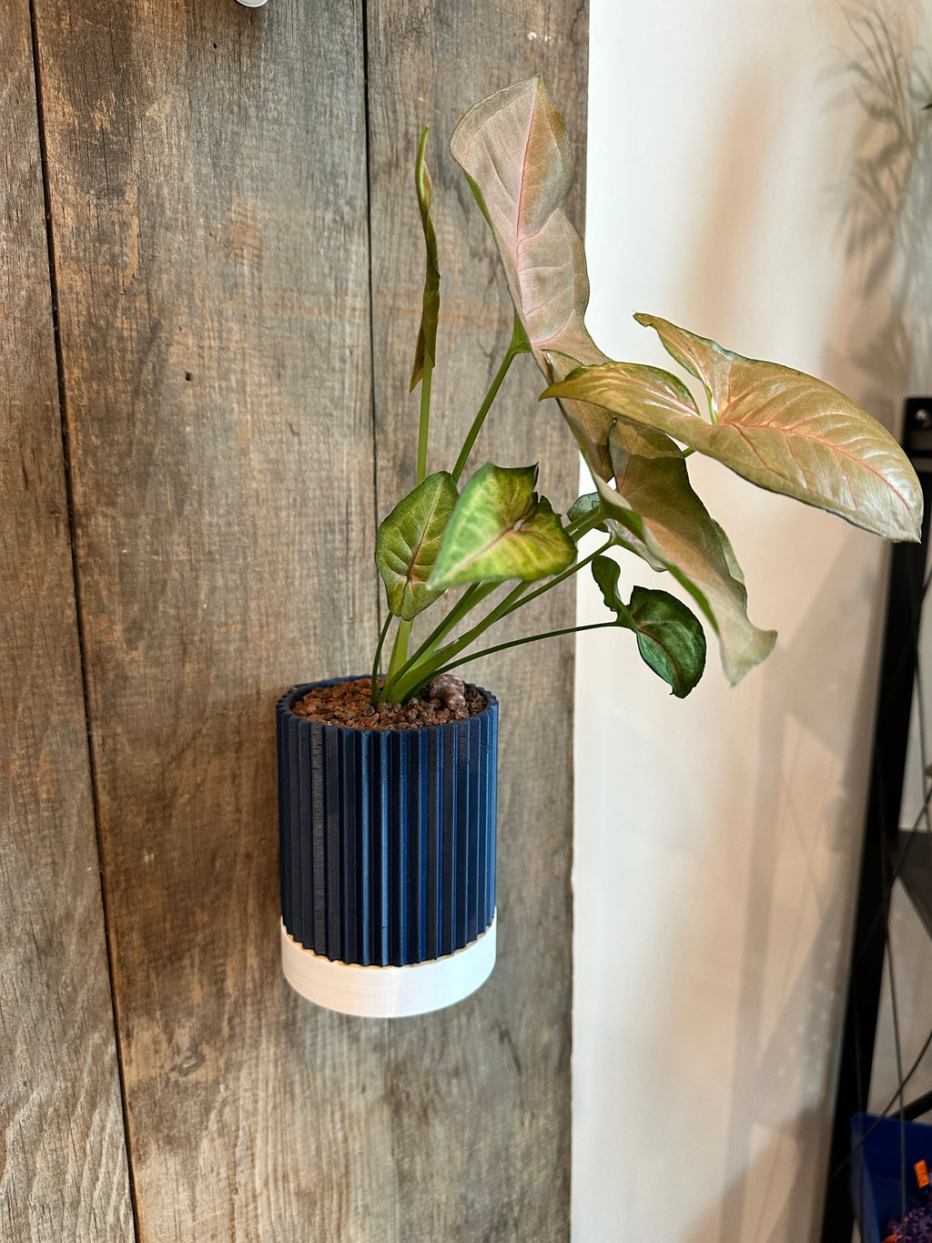 Line & Leaf Wall Planters