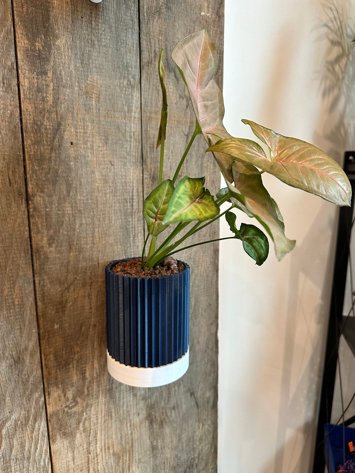 Line & Leaf Wall Planters