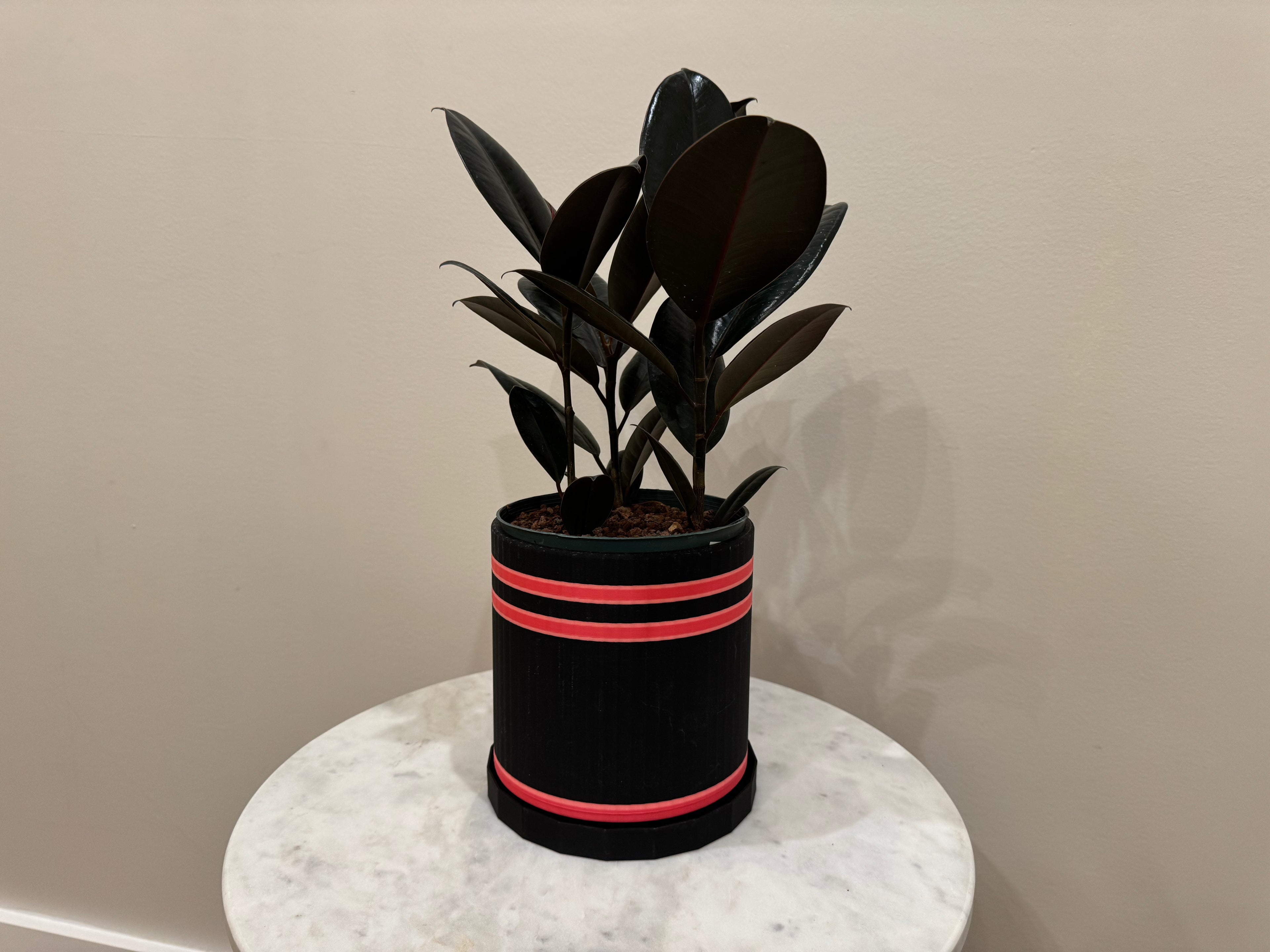 Large Bottom Watering Planter (6x6 Inch) Slim Base