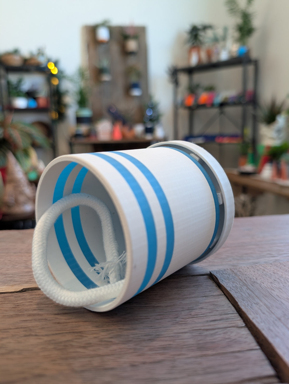 Auto-Watering, Bottom Watering, Water-Wicking