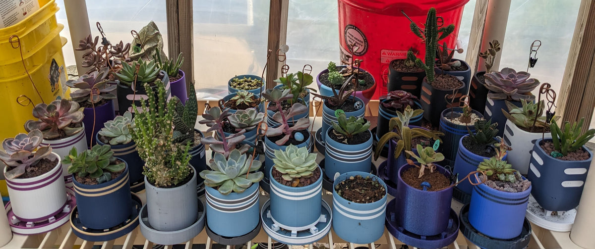 Small Bottom Watering Planter (3x3 Inch) Slim Base