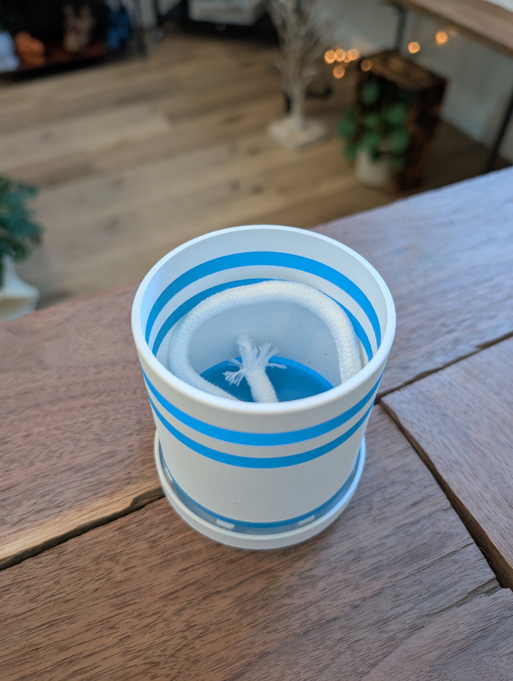 Small Bottom Watering Planter (3x3 Inch) Slim Base