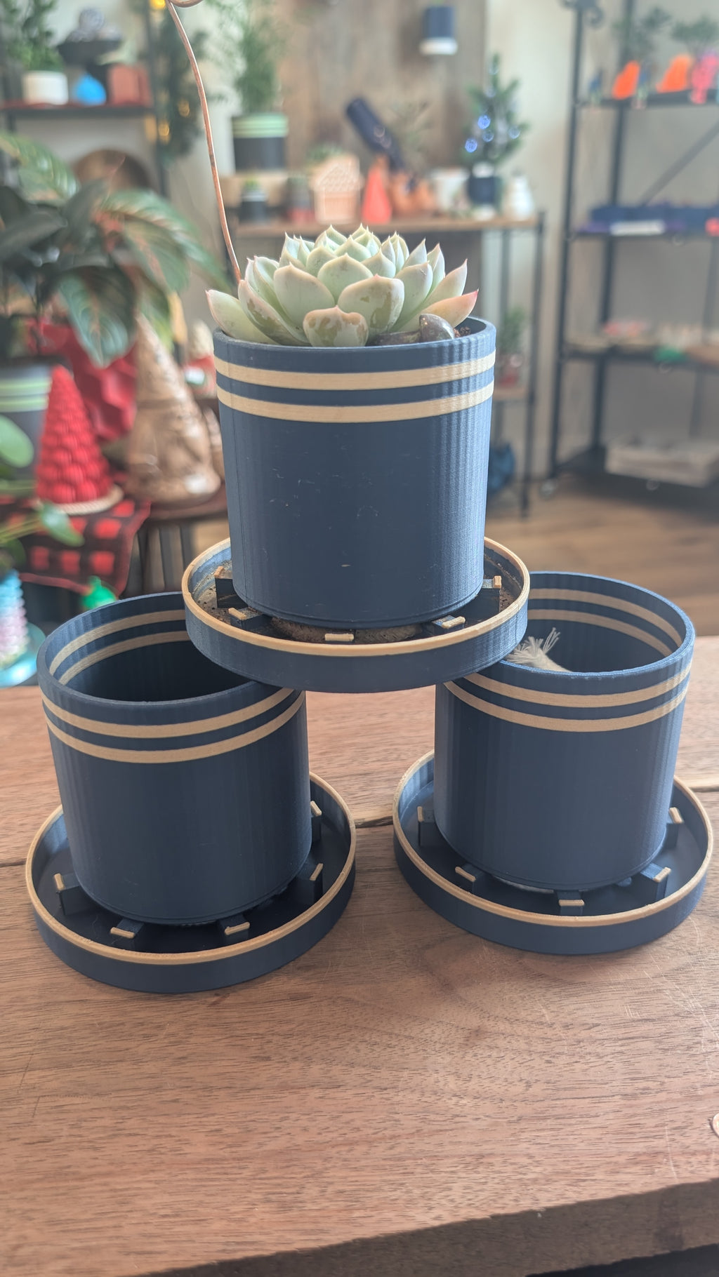 Bottom Watering Planter (3x3 inches)