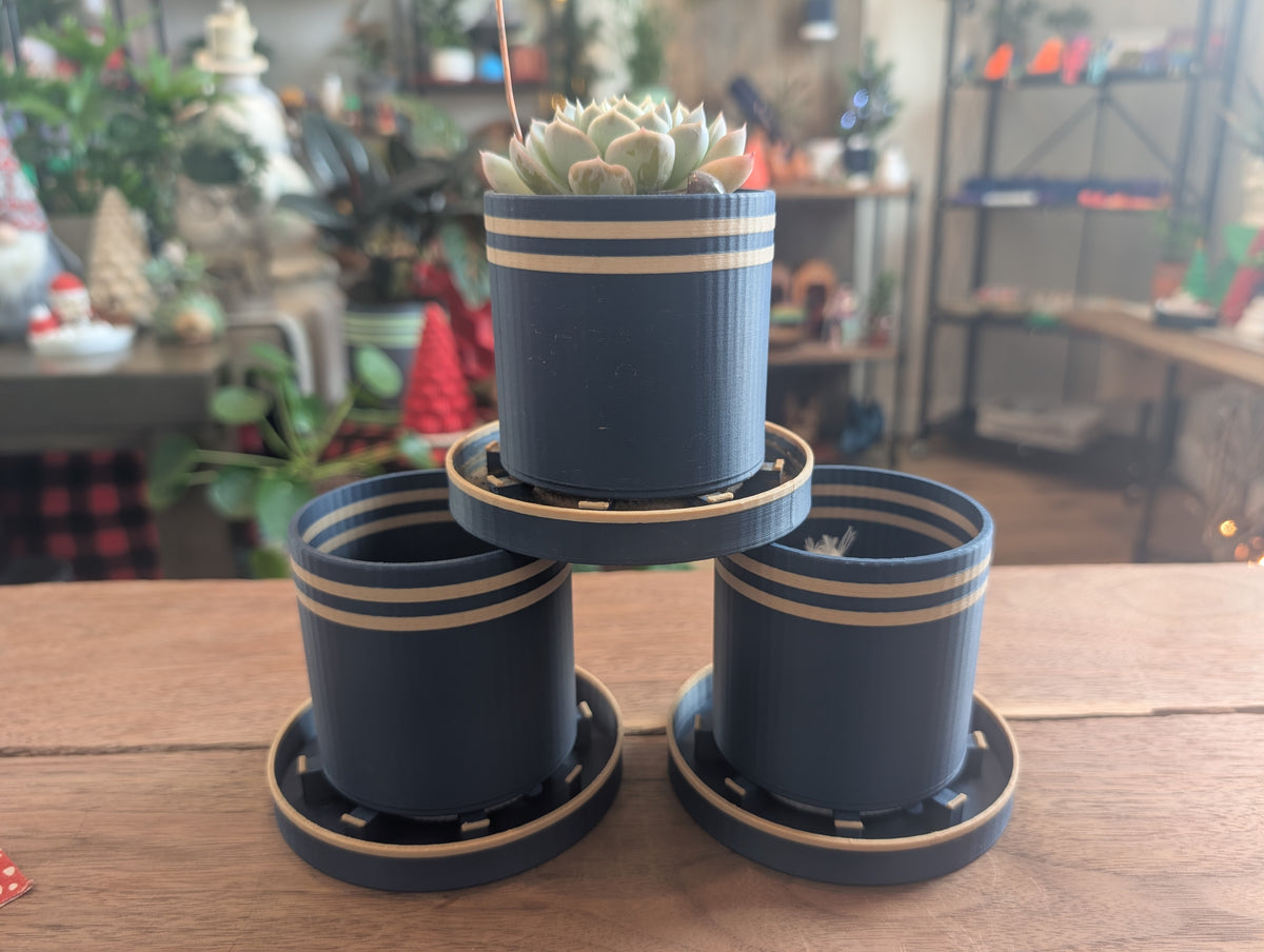 Bottom Watering Planter (3x3 inches)