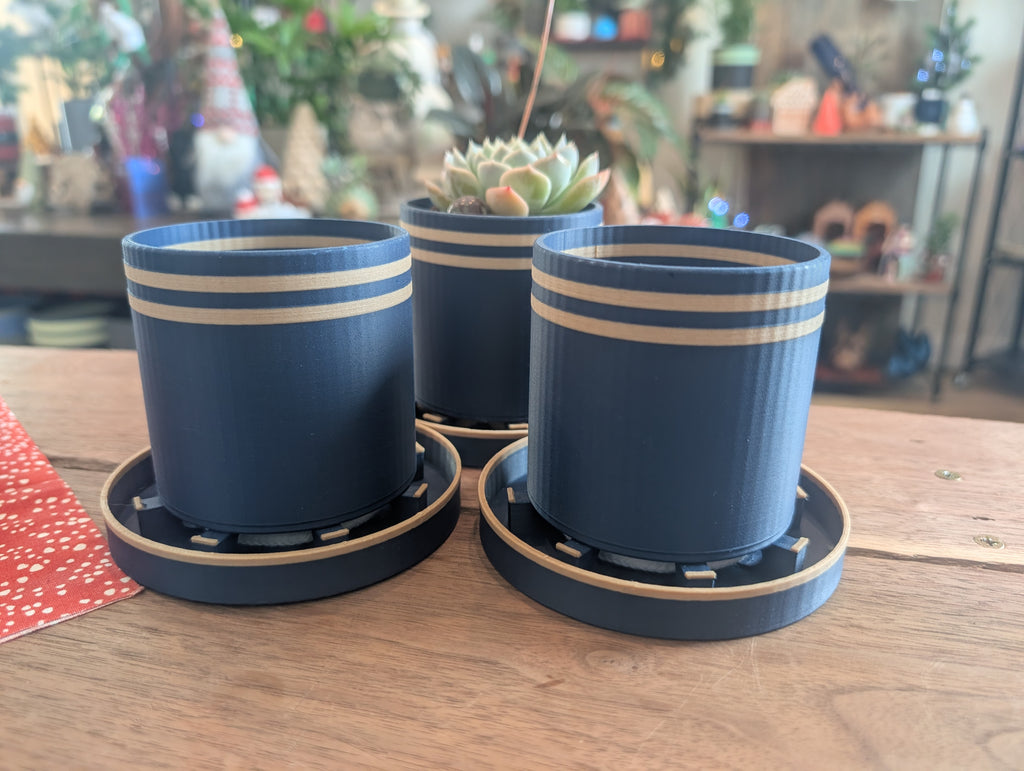Bottom Watering Planter (3x3 inches)