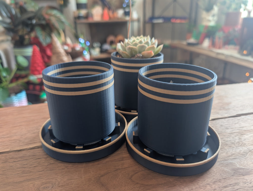 Bottom Watering Planter (3x3 inches)